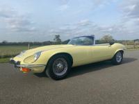 JAGUAR E-TYPE  (1973)