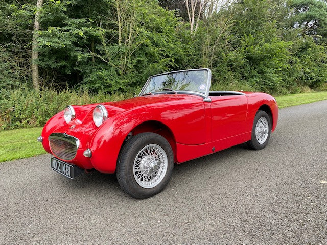 AUSTIN HEALEY FROGEYE SPRITE  (1960)