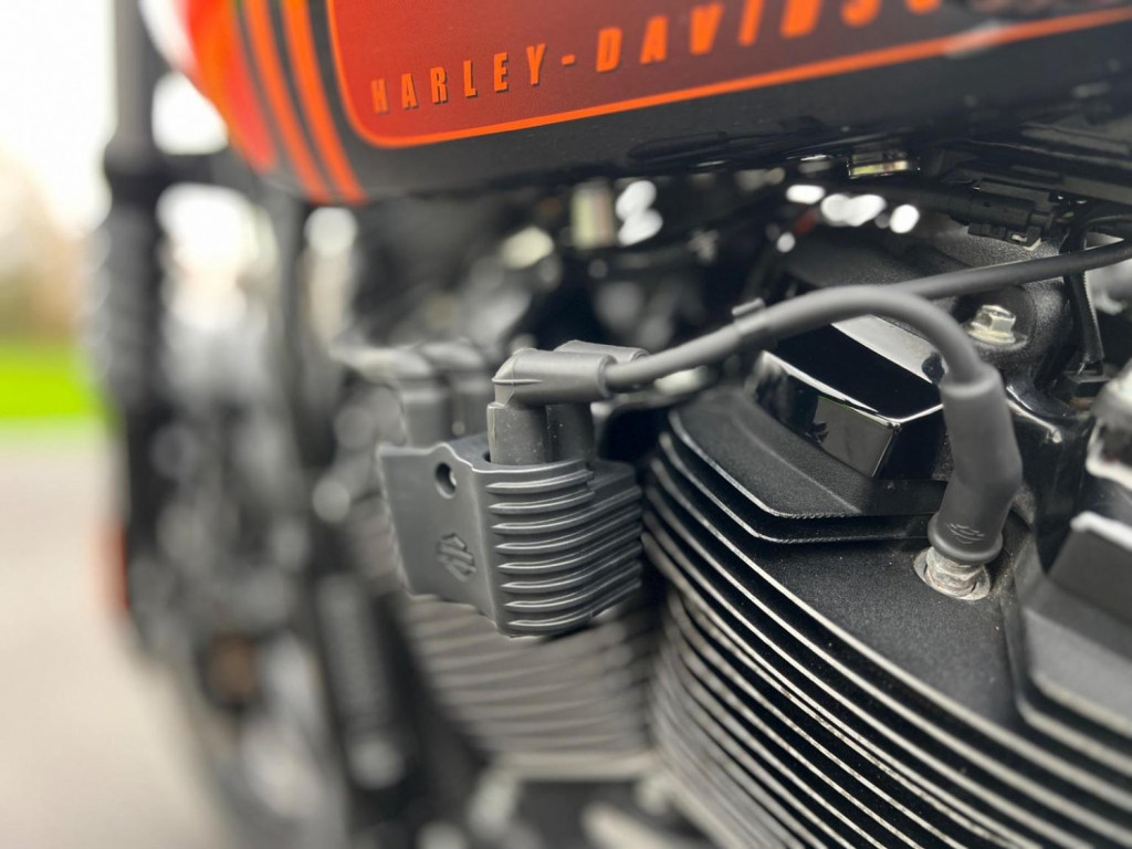 HARLEY-DAVIDSON Softail