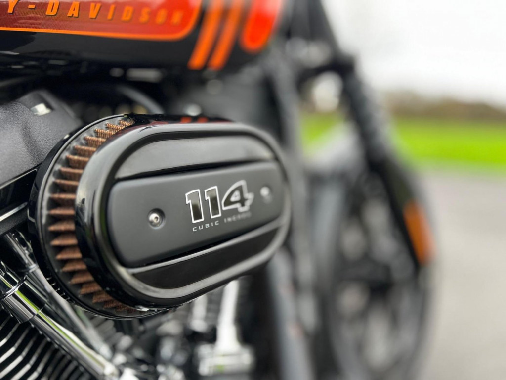 HARLEY-DAVIDSON Softail