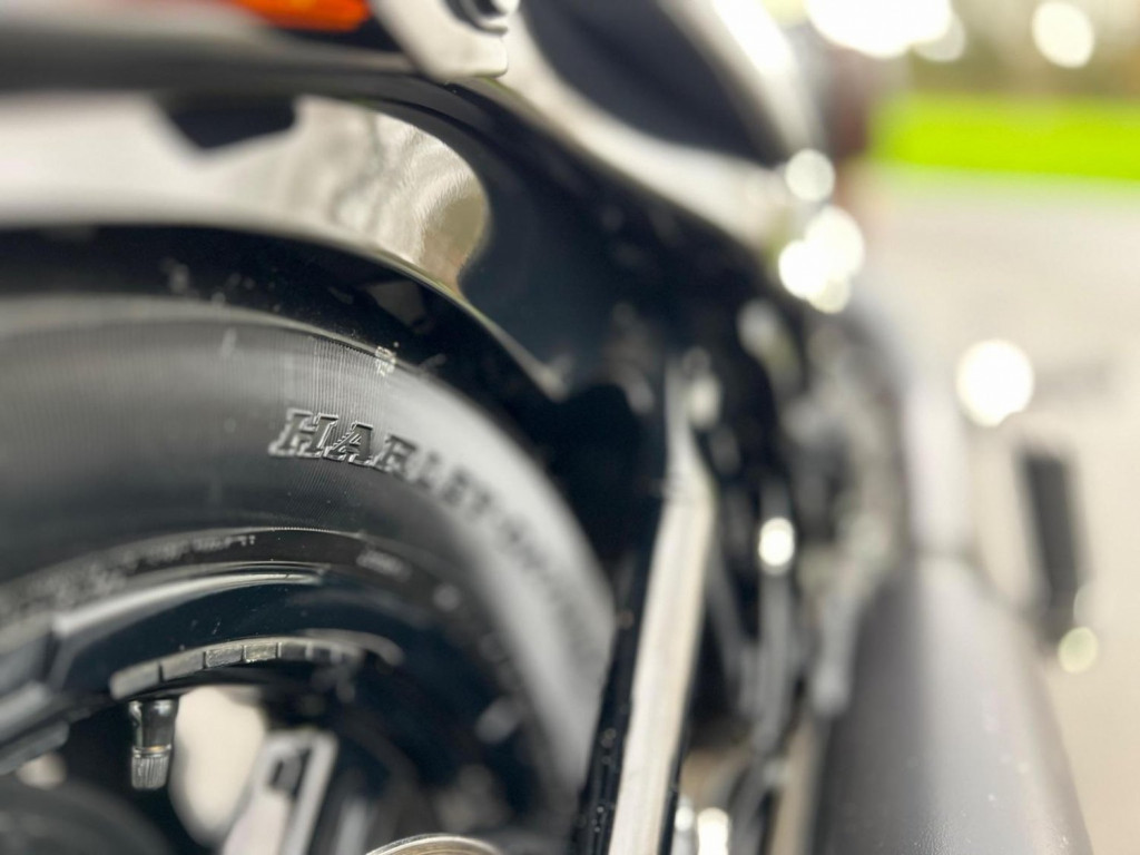 HARLEY-DAVIDSON Softail