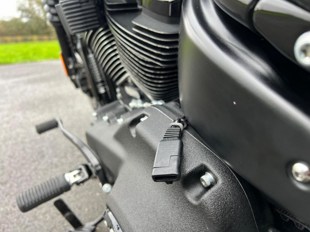 HARLEY-DAVIDSON Softail