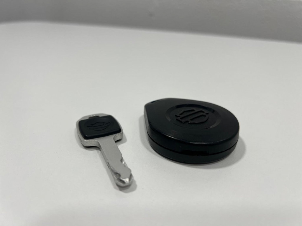 HARLEY-DAVIDSON Softail