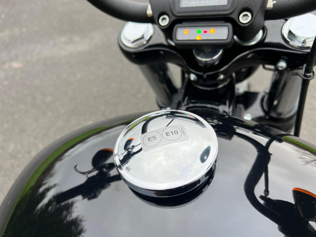 HARLEY-DAVIDSON Softail