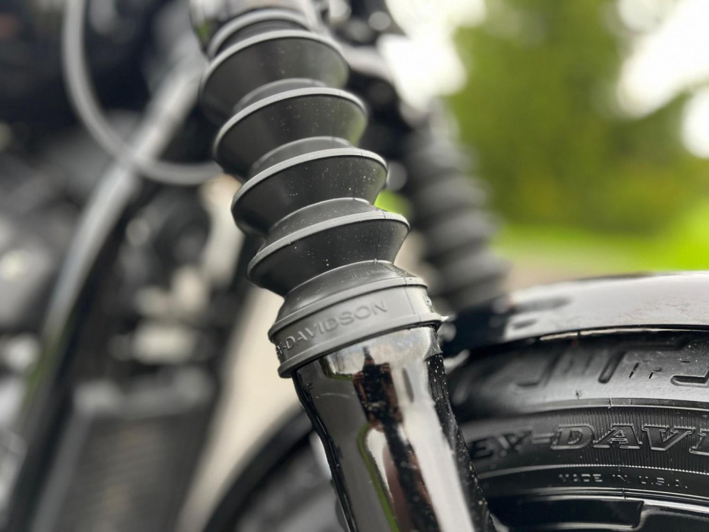 HARLEY-DAVIDSON Softail