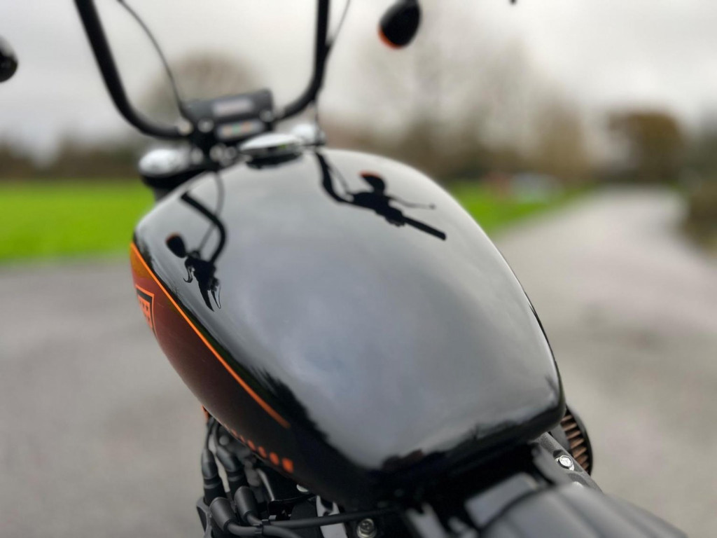 HARLEY-DAVIDSON Softail