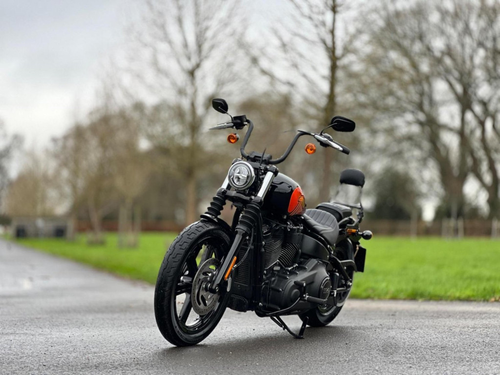 HARLEY-DAVIDSON Softail