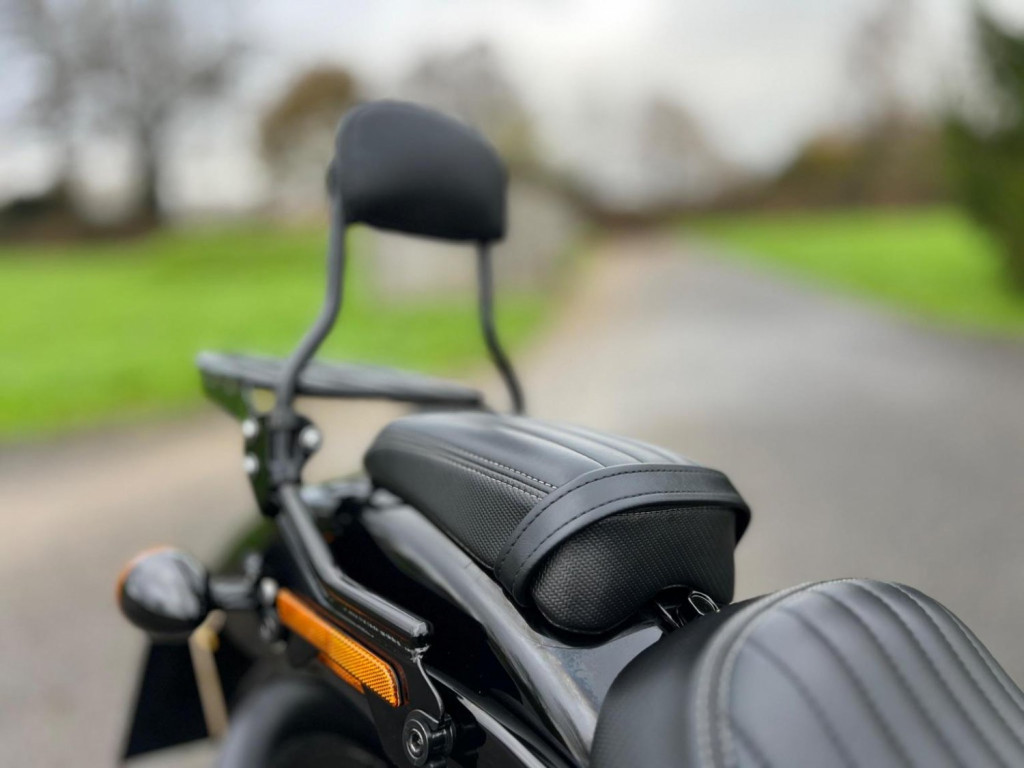 HARLEY-DAVIDSON Softail