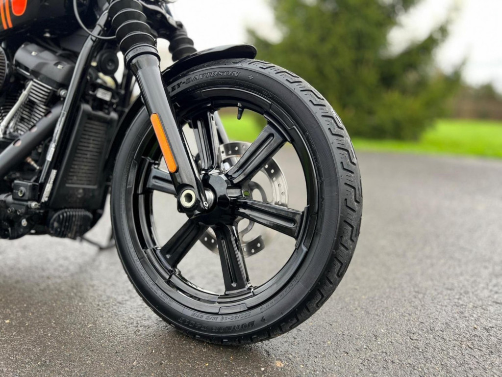 HARLEY-DAVIDSON Softail