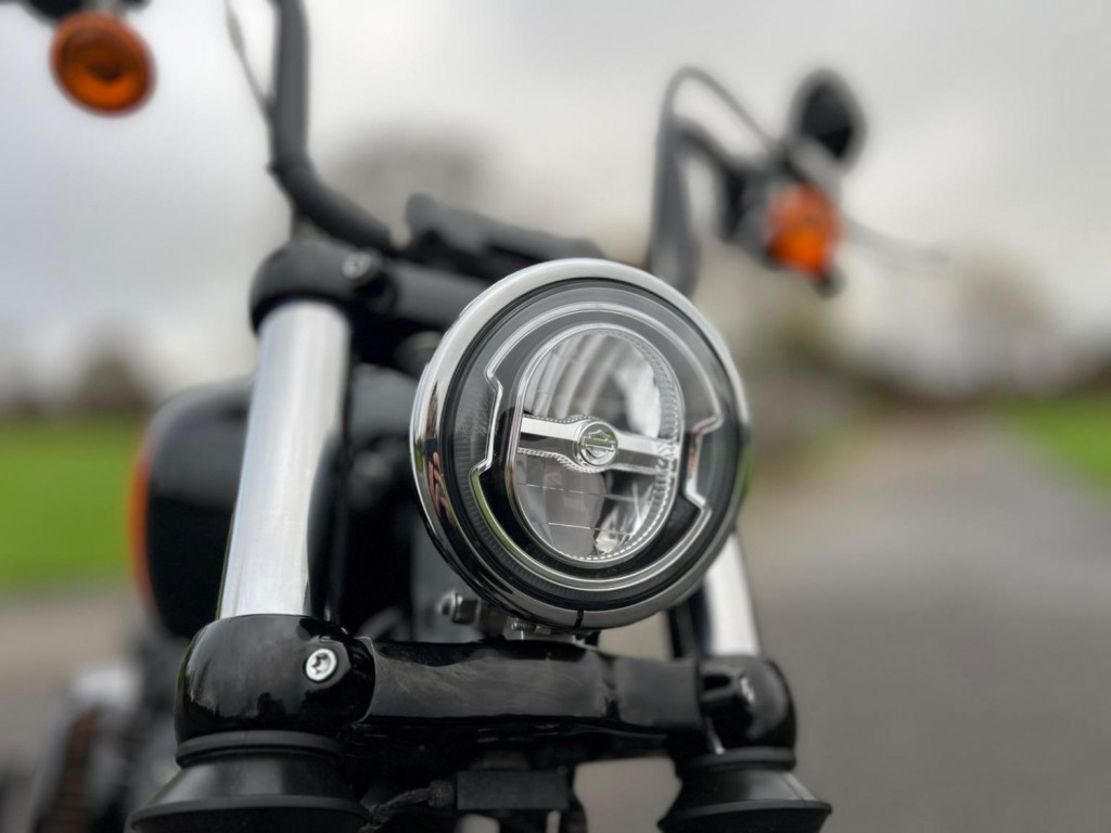 HARLEY-DAVIDSON Softail