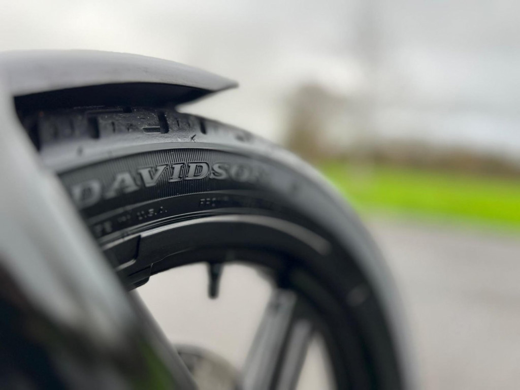 HARLEY-DAVIDSON Softail