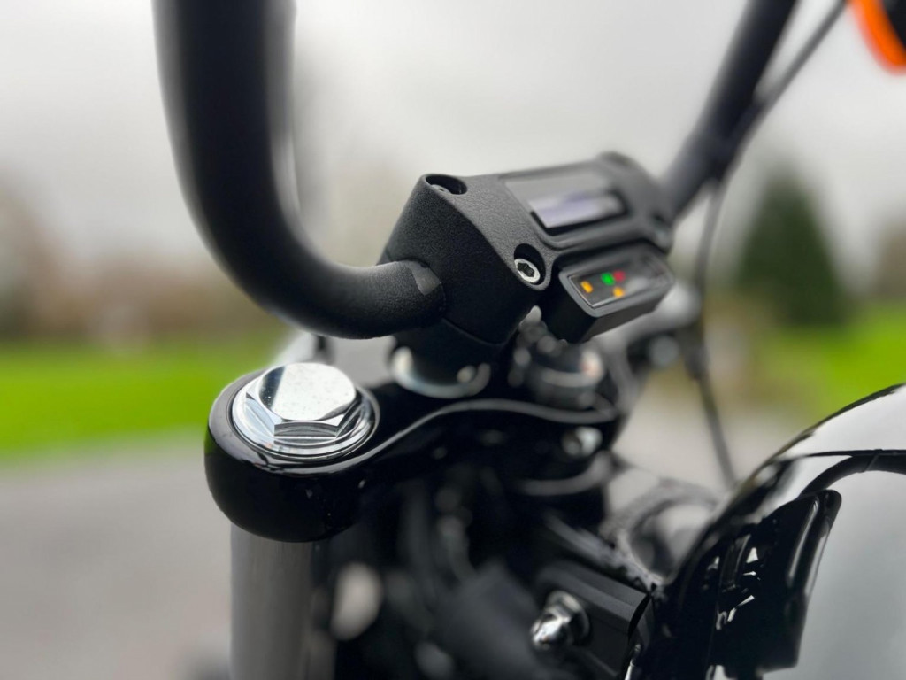 HARLEY-DAVIDSON Softail