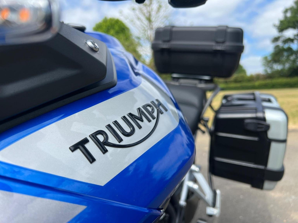 TRIUMPH TIGER 900