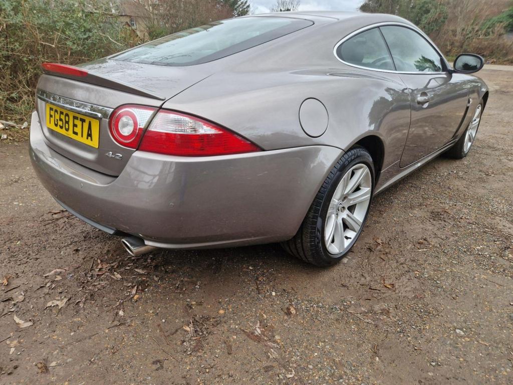 JAGUAR XK