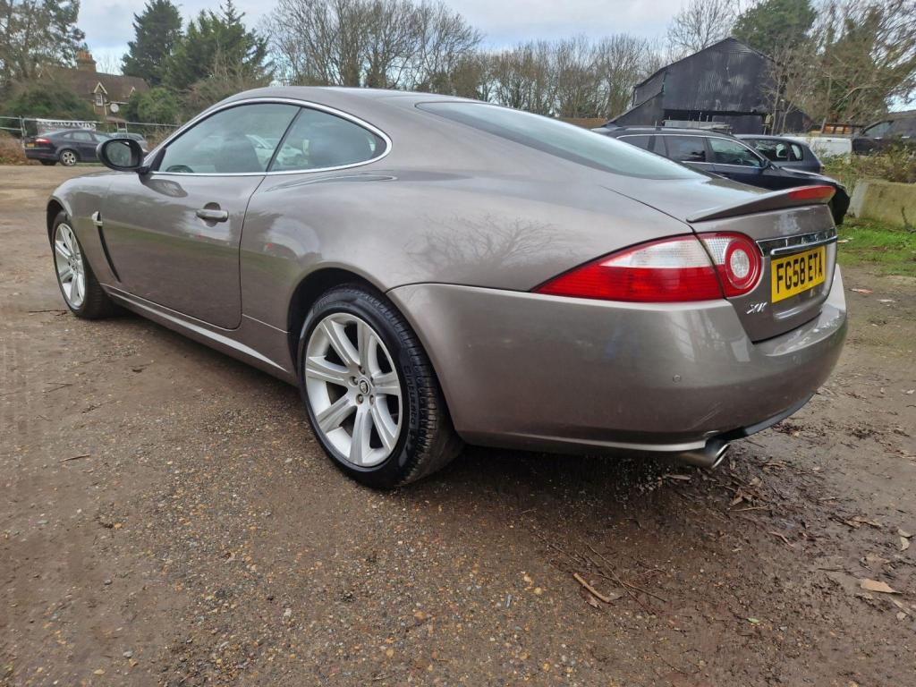 JAGUAR XK