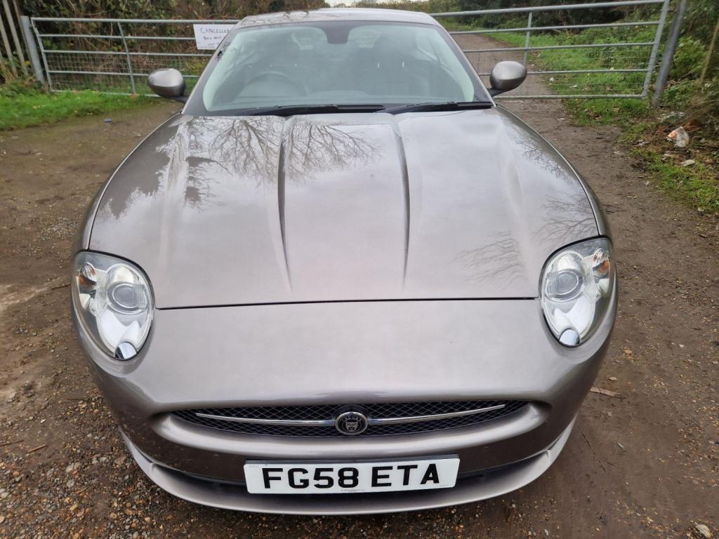 JAGUAR XK