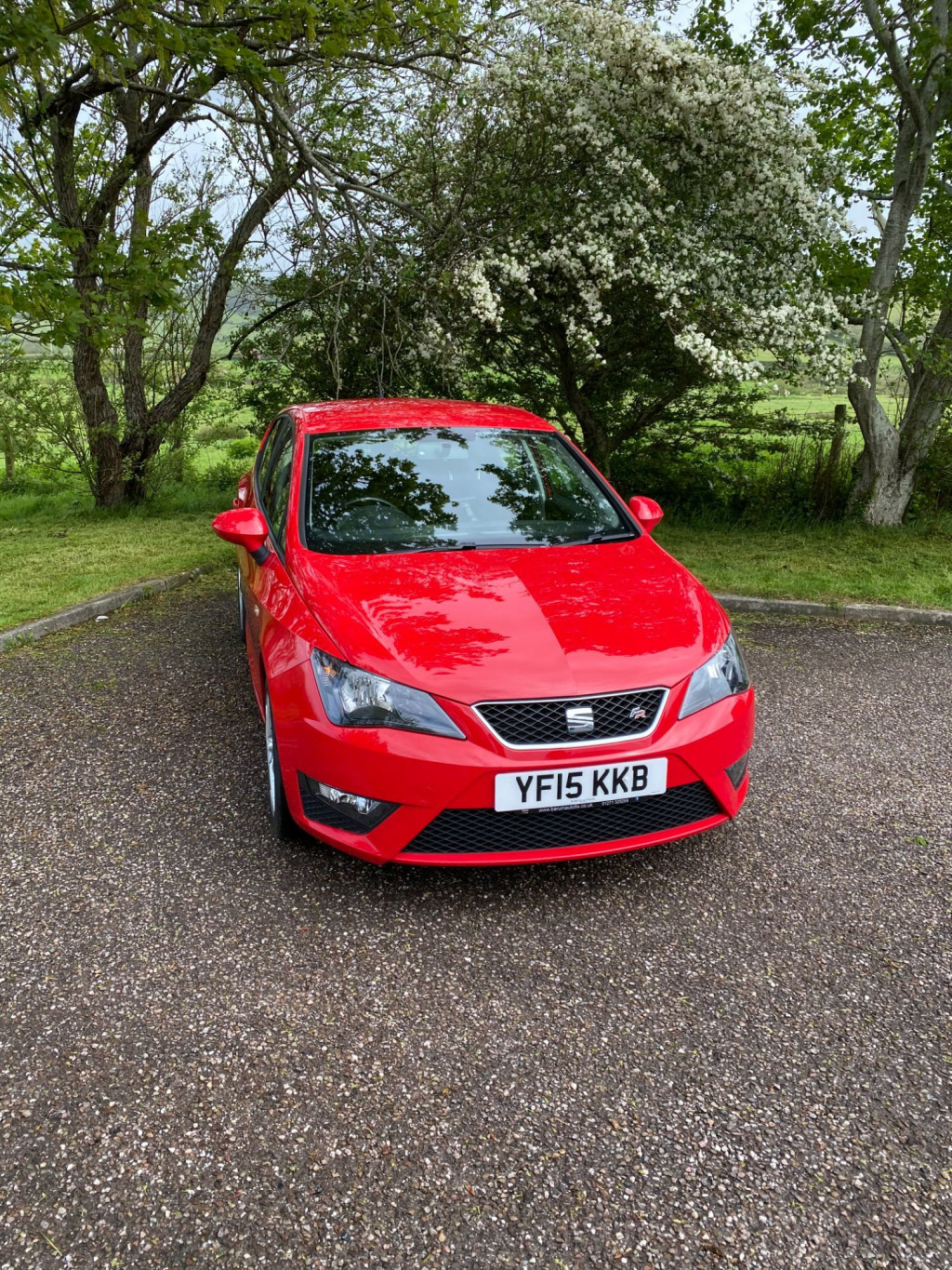 View SEAT IBIZA TSI FR