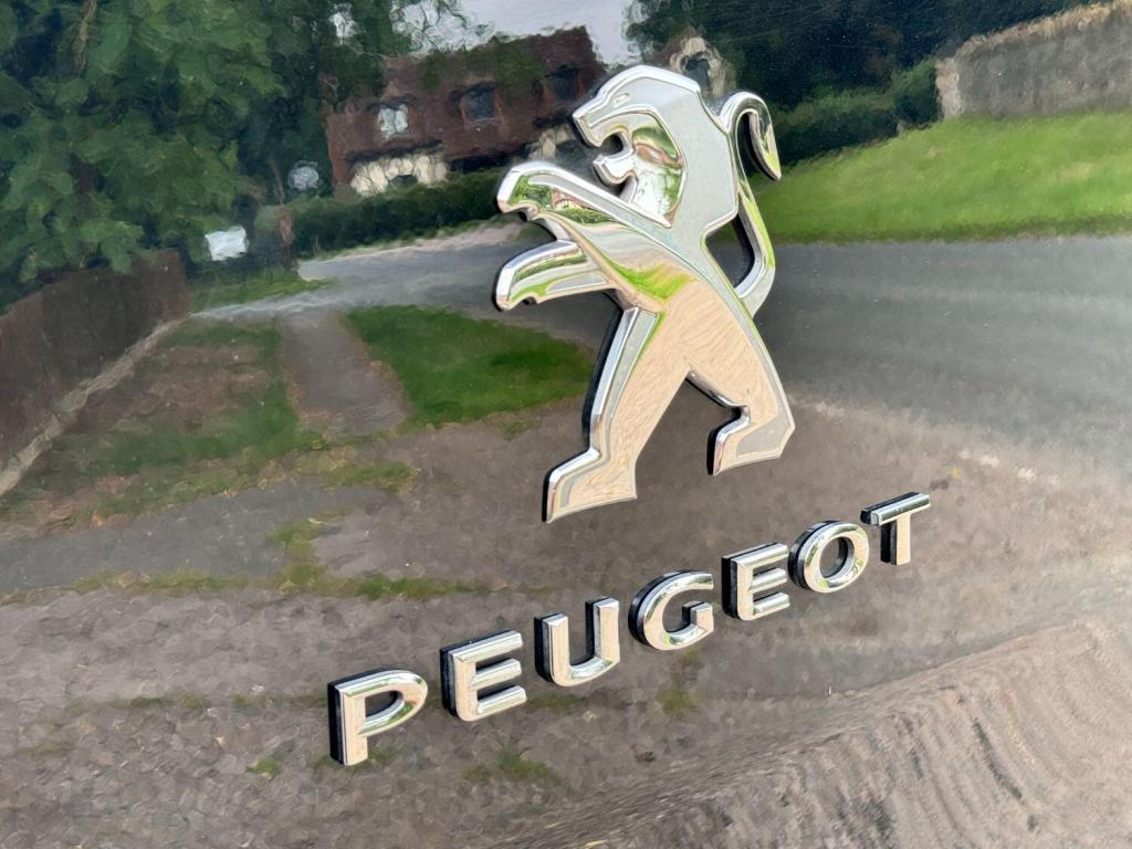 PEUGEOT EXPERT
