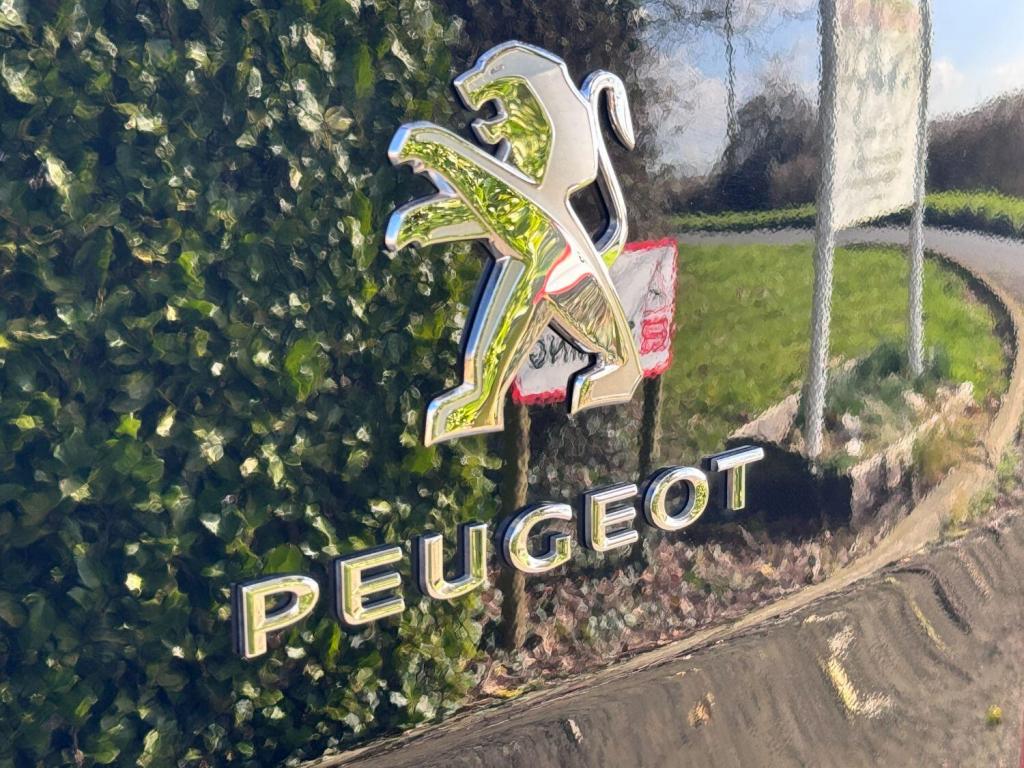 PEUGEOT EXPERT
