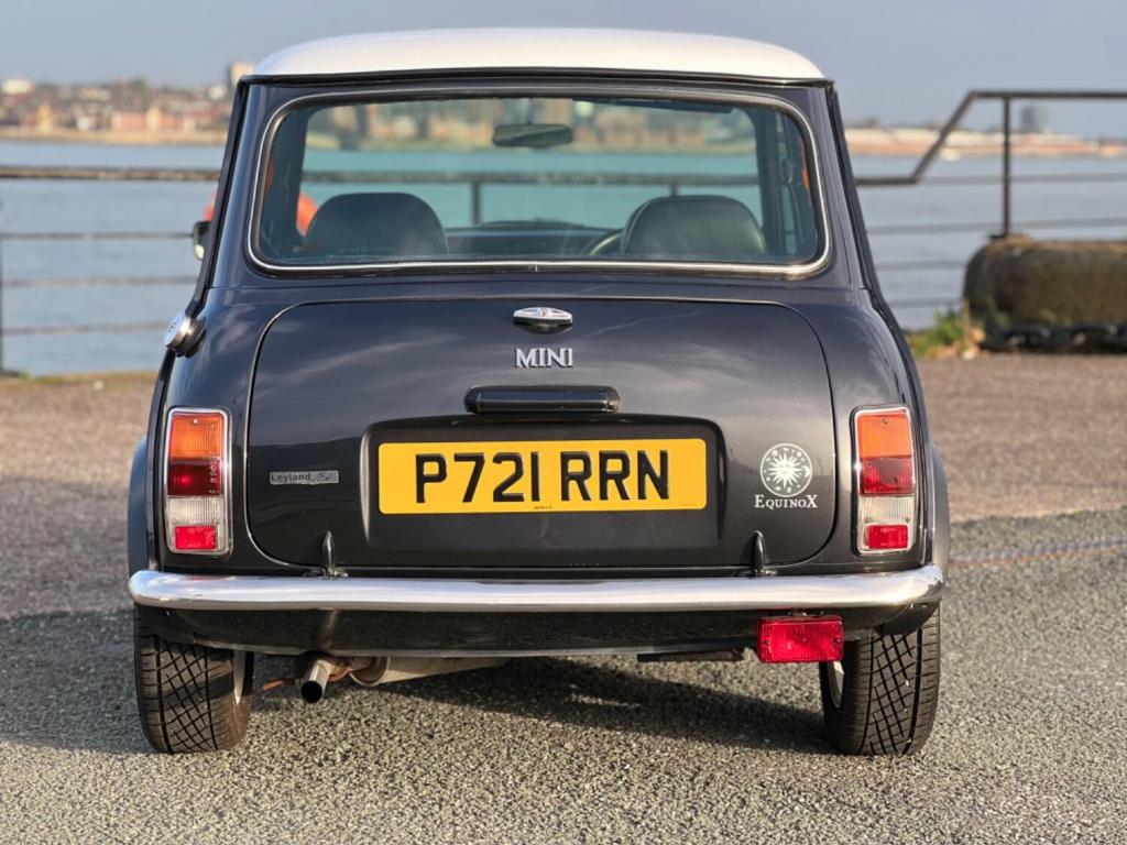 ROVER MINI