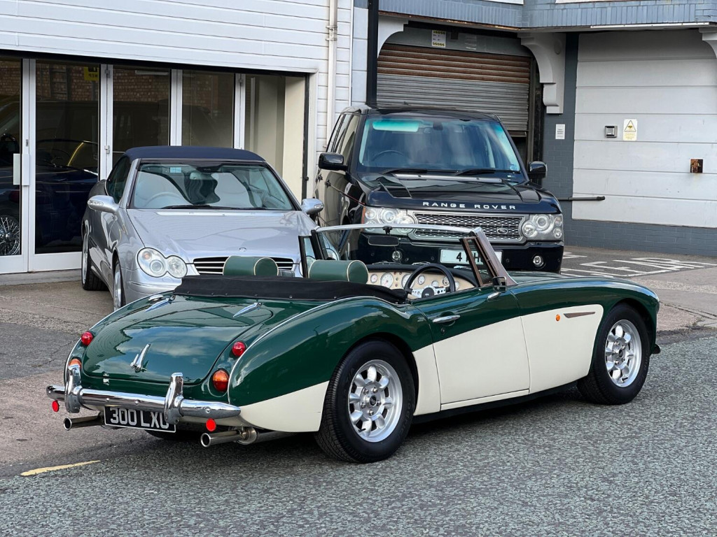 View AUSTIN HEALEY 3000 Replica - Sebring SX