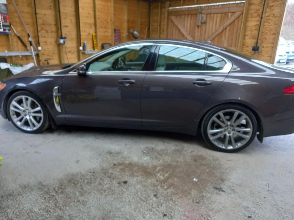JAGUAR XF