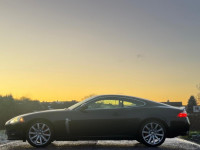 JAGUAR XK