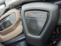 HARLEY-DAVIDSON Sportster