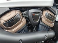 HARLEY-DAVIDSON Sportster