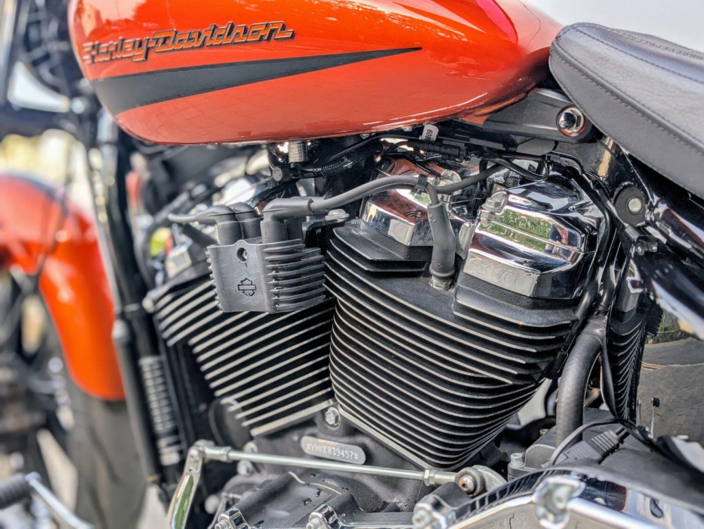 HARLEY-DAVIDSON Softail