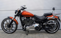 HARLEY-DAVIDSON Softail