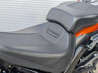 HARLEY-DAVIDSON Softail