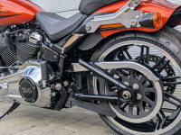 HARLEY-DAVIDSON Softail