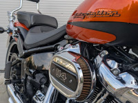 HARLEY-DAVIDSON Softail