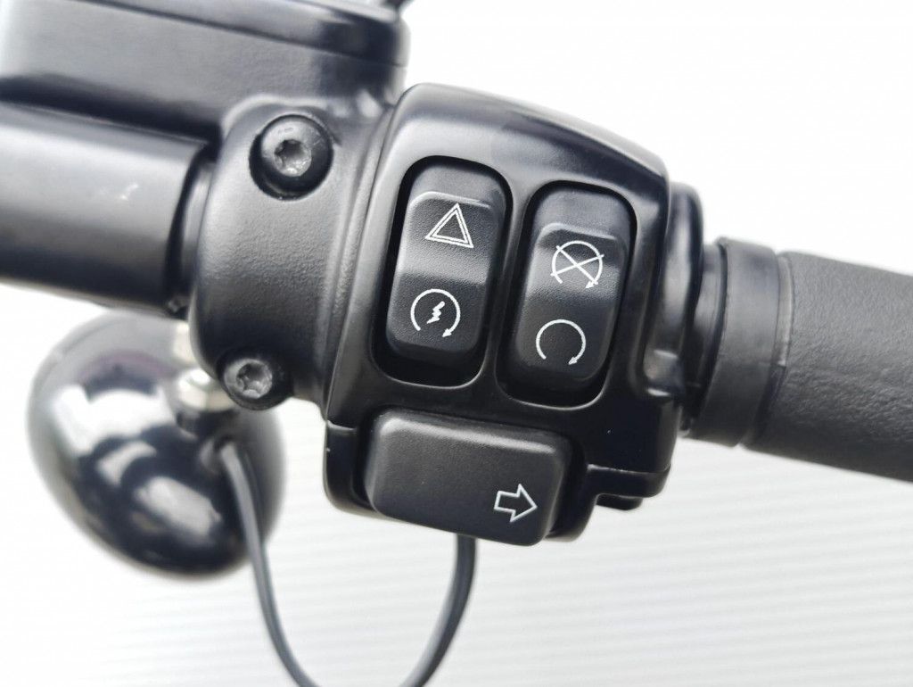 HARLEY-DAVIDSON Softail