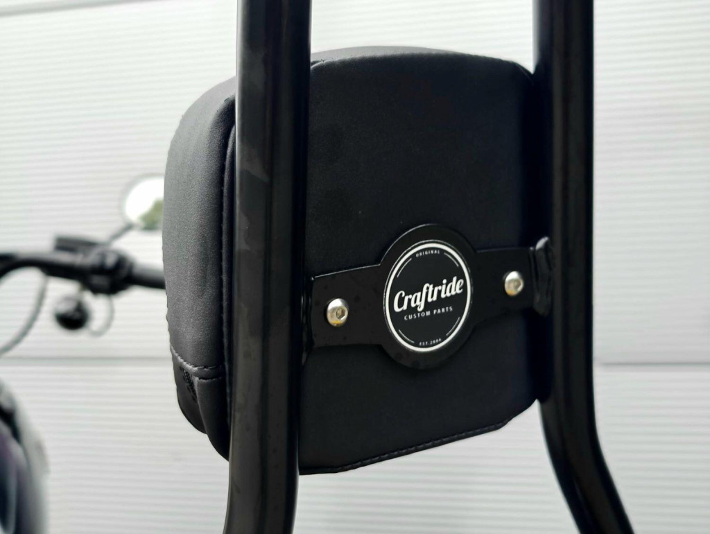 HARLEY-DAVIDSON Softail