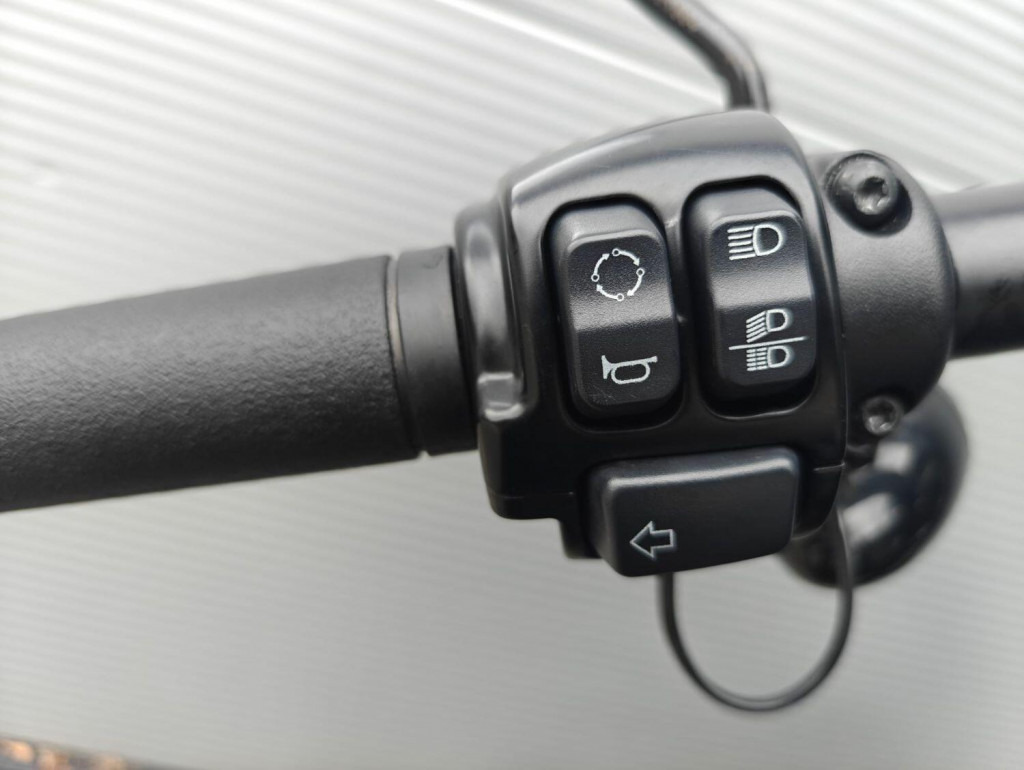 HARLEY-DAVIDSON Softail