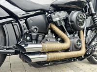 HARLEY-DAVIDSON Softail