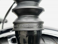 HARLEY-DAVIDSON Softail