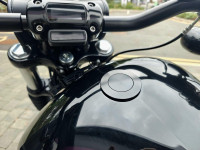 HARLEY-DAVIDSON Softail