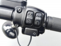 HARLEY-DAVIDSON Softail