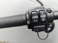 HARLEY-DAVIDSON Softail