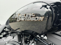 HARLEY-DAVIDSON Softail