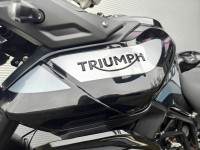 TRIUMPH TIGER 900