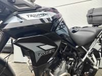 TRIUMPH TIGER 900
