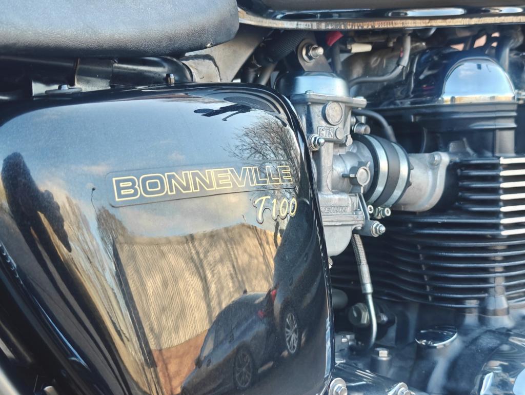 TRIUMPH BONNEVILLE T100