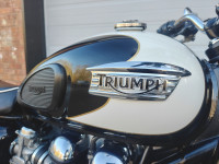 TRIUMPH BONNEVILLE T100