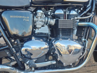 TRIUMPH BONNEVILLE T100